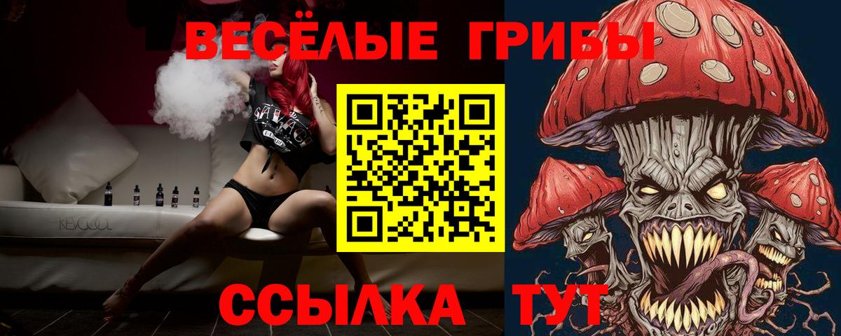 Алексеевка  Галлюциногенные грибы GOLDEN TEACHER  Галлюциногенные грибы Magic Shrooms  Вход с VPN 